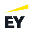 ey, big 4 accounting firm