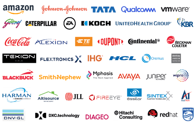 Others (Including Global Fortune 500)