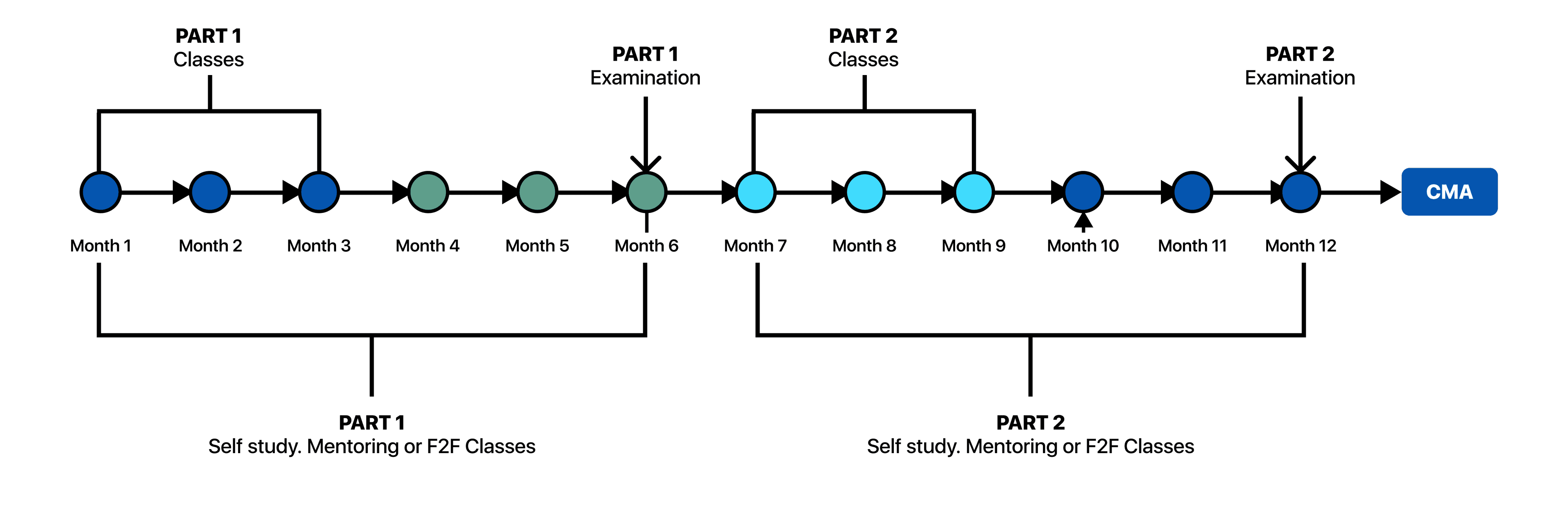 CMA exam Gameplan