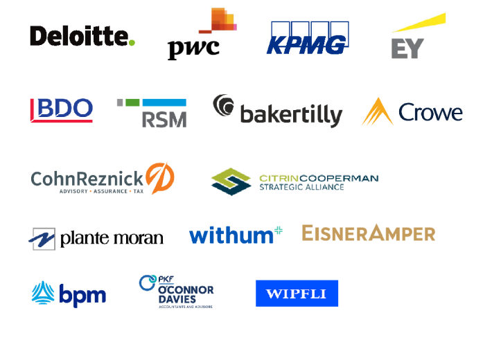 Big 4 & Public Accounting Firms