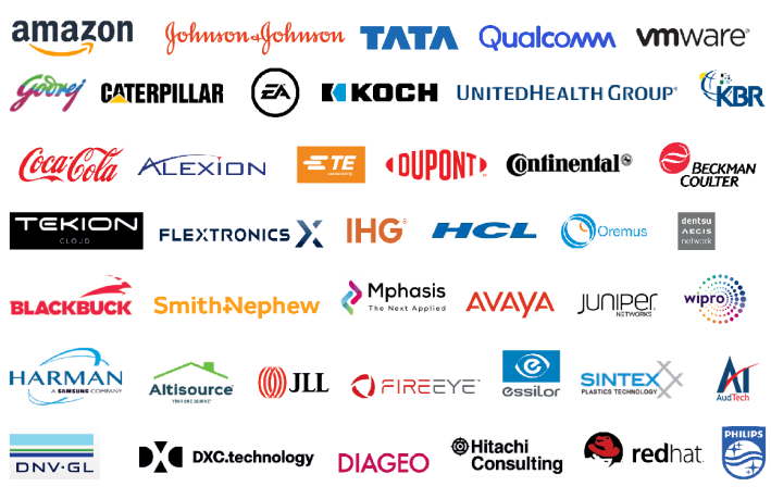 Others (Including Global Fortune 500)